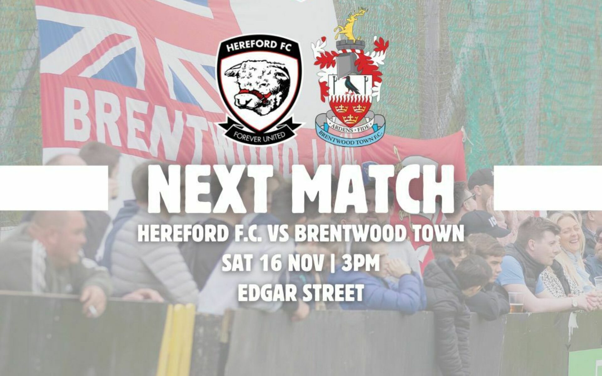 MATCH PREVIEW: Hereford FC vs Brentwood Town Featured Image